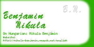 benjamin mikula business card